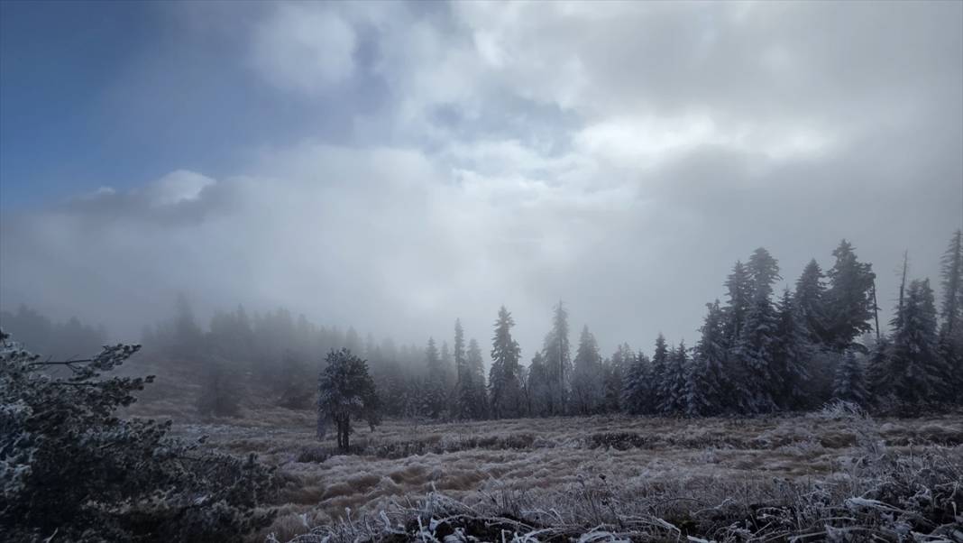 Ağrı'da ağaçlar kırağı tuttu 11