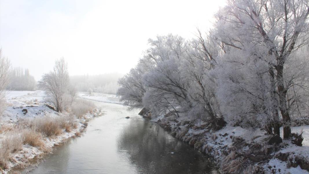 Ağrı'da ağaçlar kırağı tuttu 5
