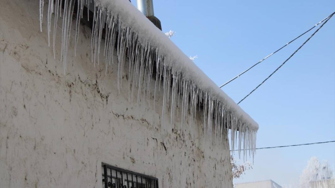 Ağrı'da ağaçlar kırağı tuttu 6