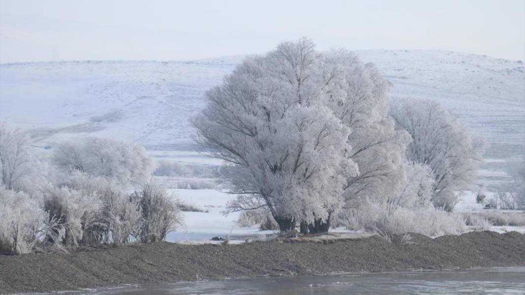 Ağrı'da ağaçlar kırağı tuttu 8