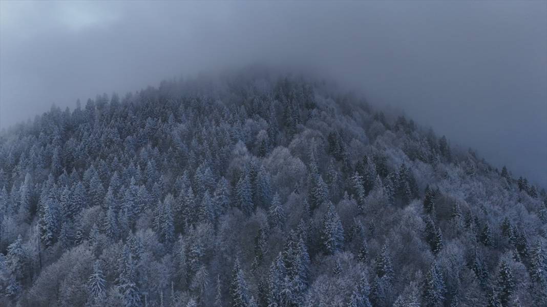 Ağrı'da ağaçlar kırağı tuttu 9