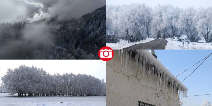 Ağrı'da ağaçlar kırağı tuttu
