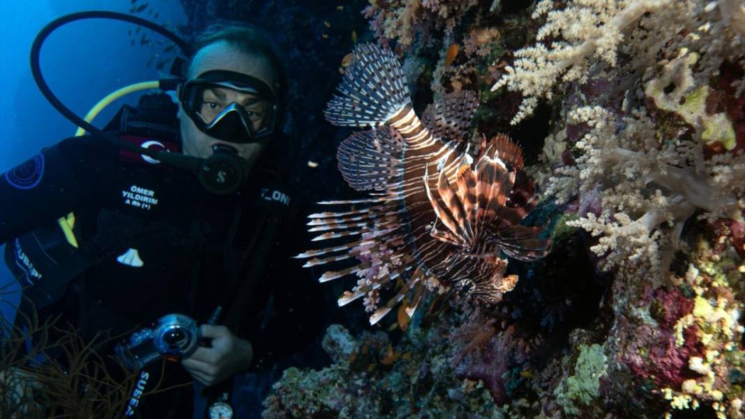 Deniz altındaki ilahi sanat 8