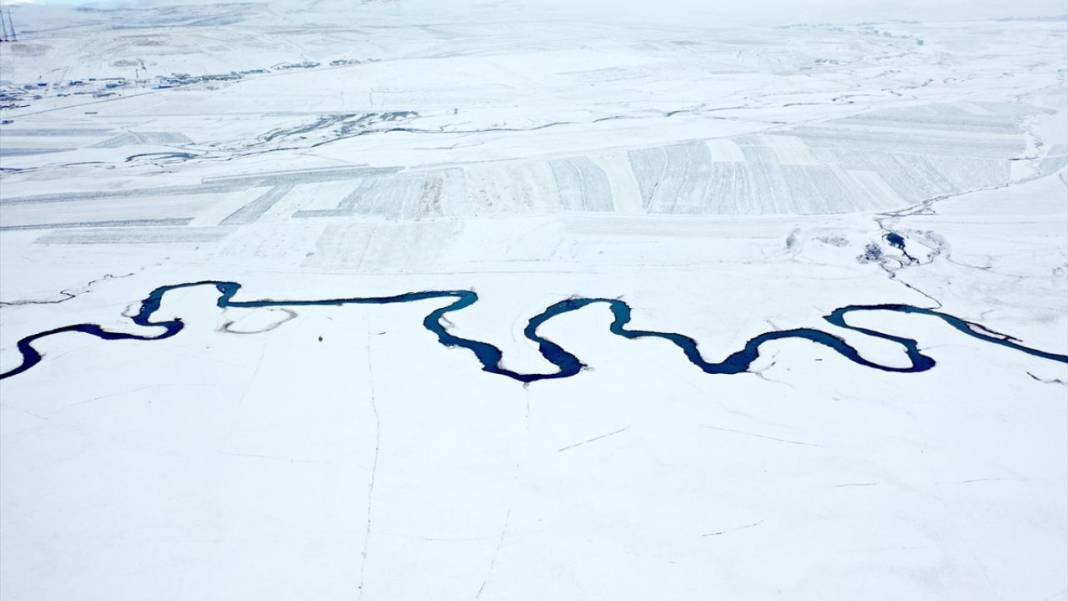 Kışın donmayan menderesler mahlukata can suyu oluyor 12
