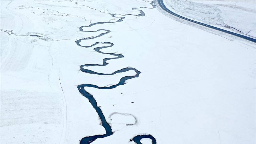 Kışın donmayan menderesler mahlukata can suyu oluyor 13