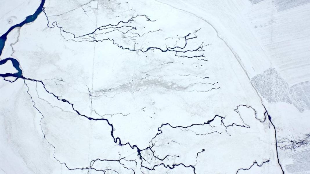 Kışın donmayan menderesler mahlukata can suyu oluyor 14