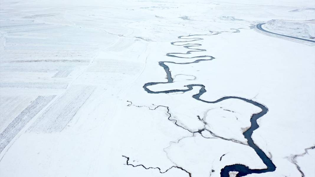 Kışın donmayan menderesler mahlukata can suyu oluyor 15
