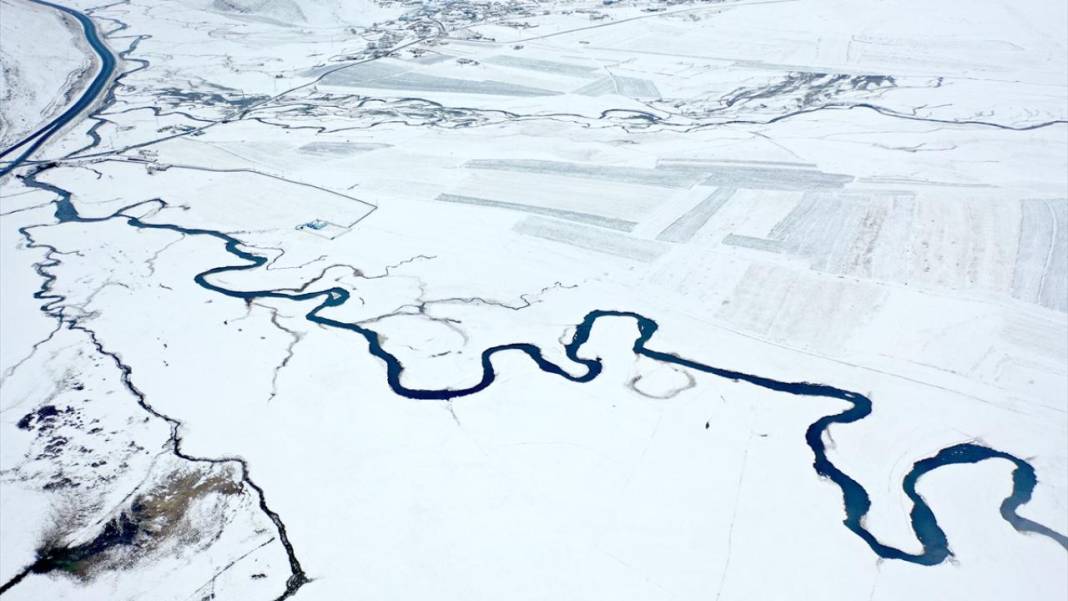 Kışın donmayan menderesler mahlukata can suyu oluyor 2