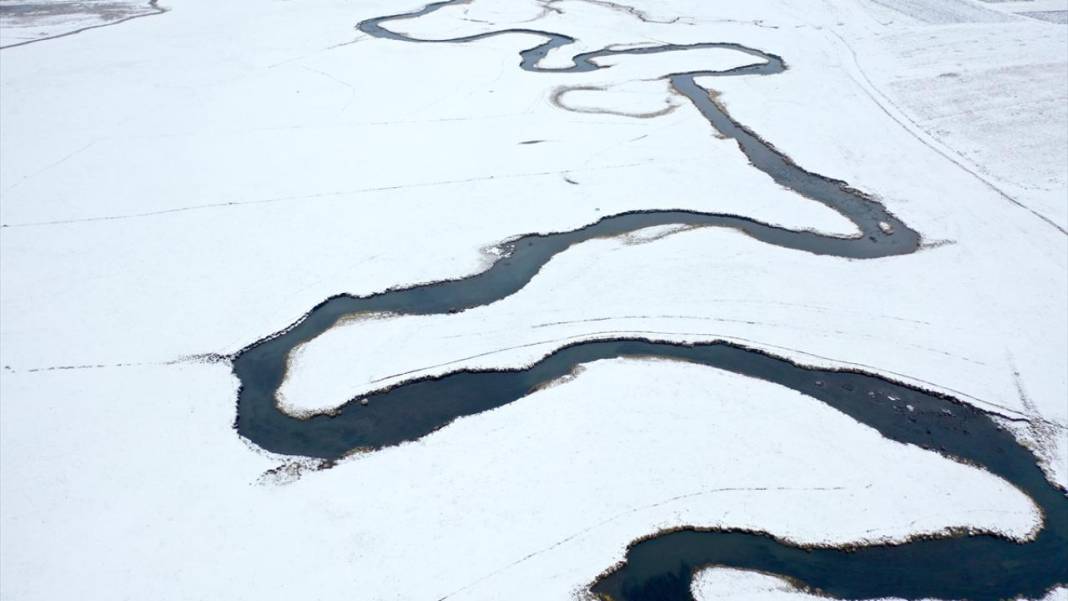 Kışın donmayan menderesler mahlukata can suyu oluyor 6