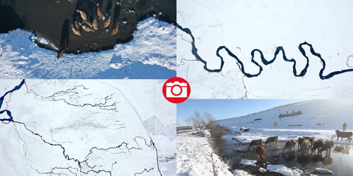 Kışın donmayan menderesler mahlukata can suyu oluyor