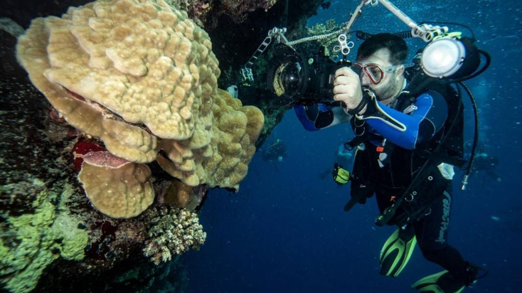 Su altında açan renkli bahçeler: Kızıldeniz Mercanları 3