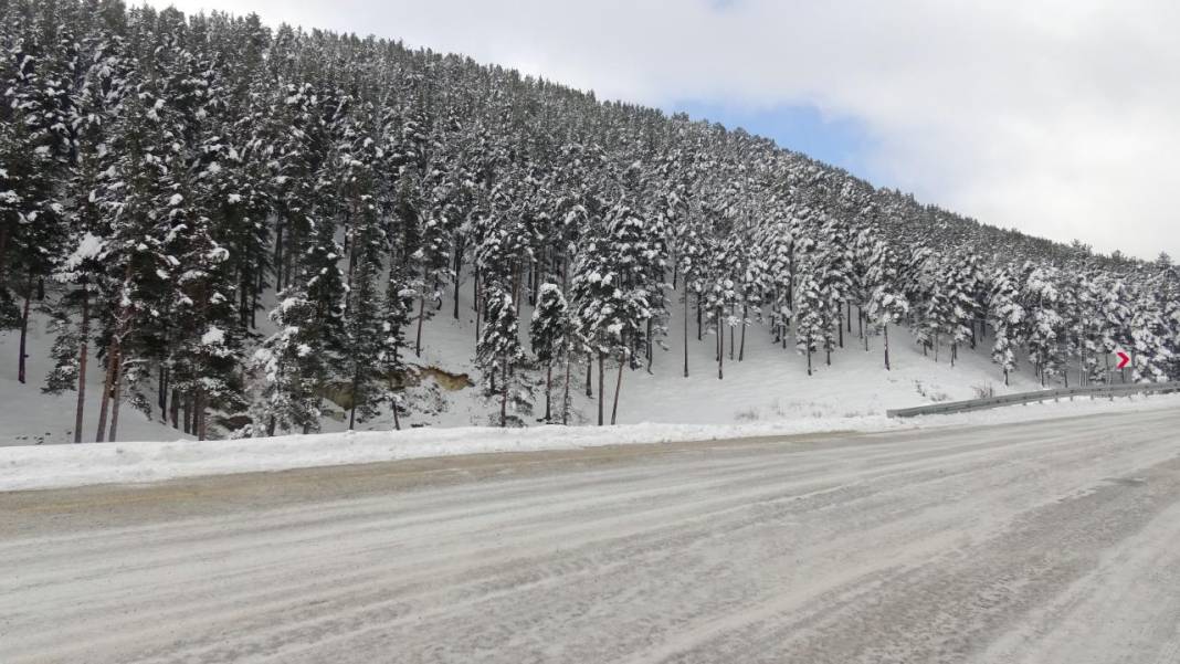Sarıçam ormanlarında beyaz rahmet güzelliği 11