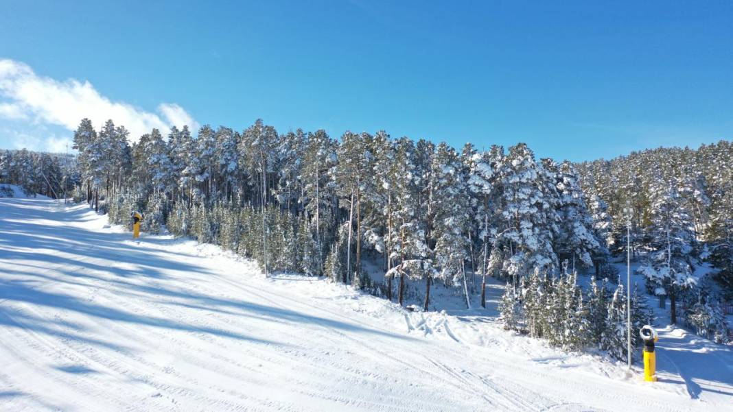 Sarıçam ormanlarında beyaz rahmet güzelliği 2