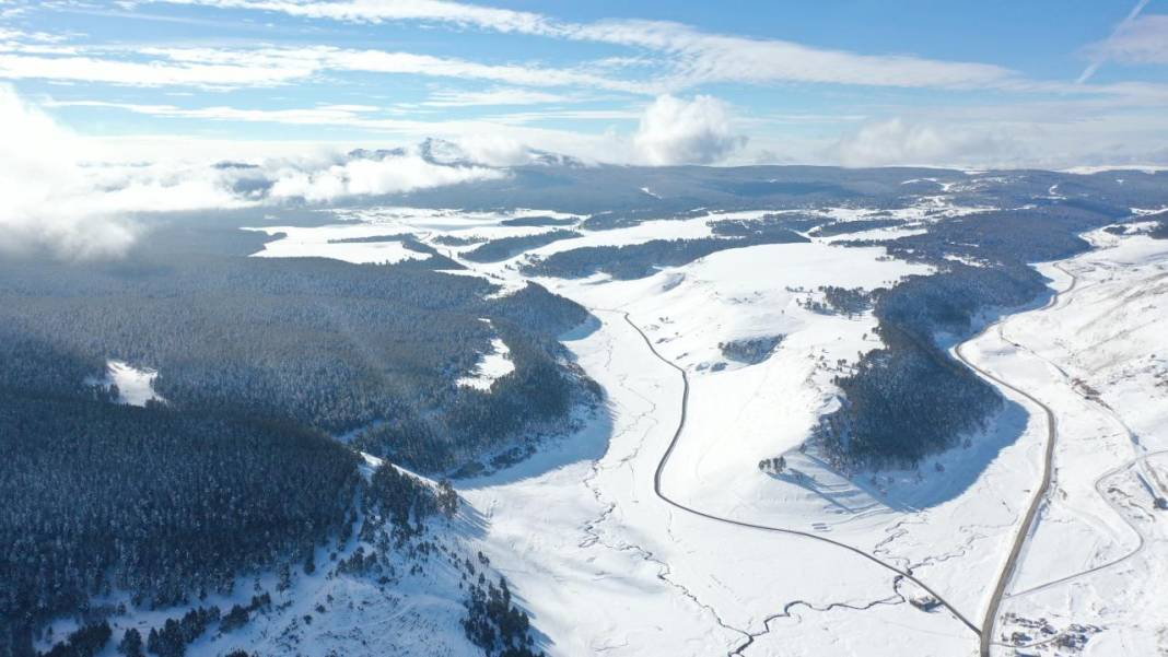 Sarıçam ormanlarında beyaz rahmet güzelliği 3