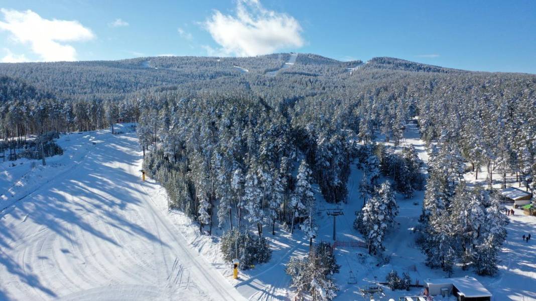 Sarıçam ormanlarında beyaz rahmet güzelliği 5