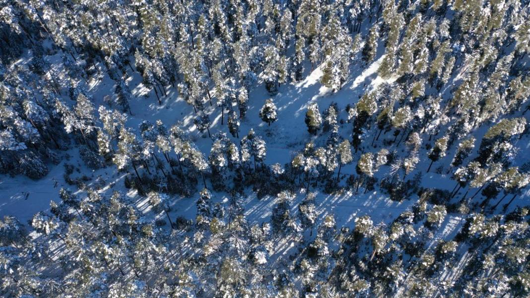 Sarıçam ormanlarında beyaz rahmet güzelliği 6