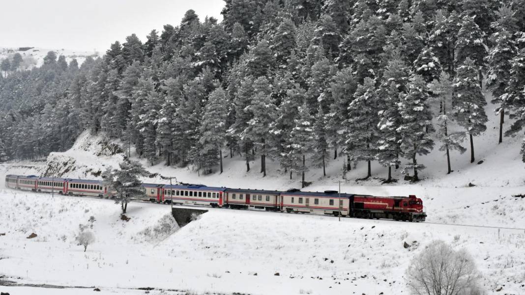 Sarıçam ormanlarında beyaz rahmet güzelliği 8