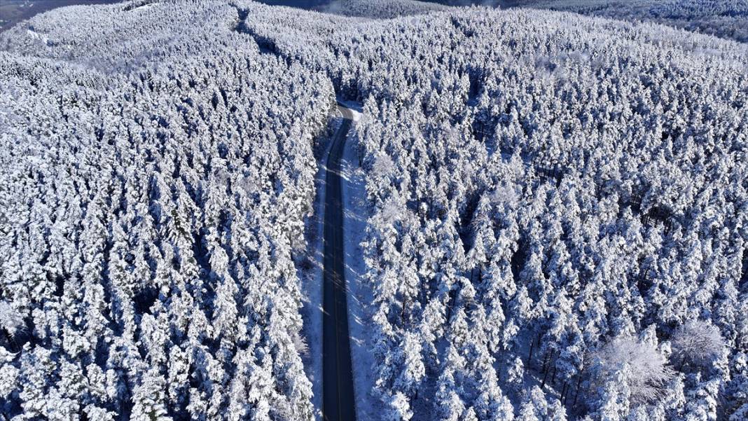 Beyaz rahmet kar, Topuk Yaylası'na da çok yakıştı 10