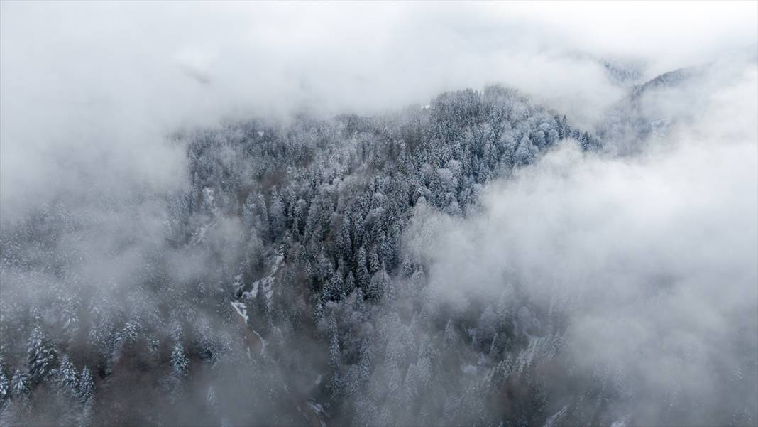 Kümbet Yaylası’nda yeşilden beyaza mevsim geçişi 13