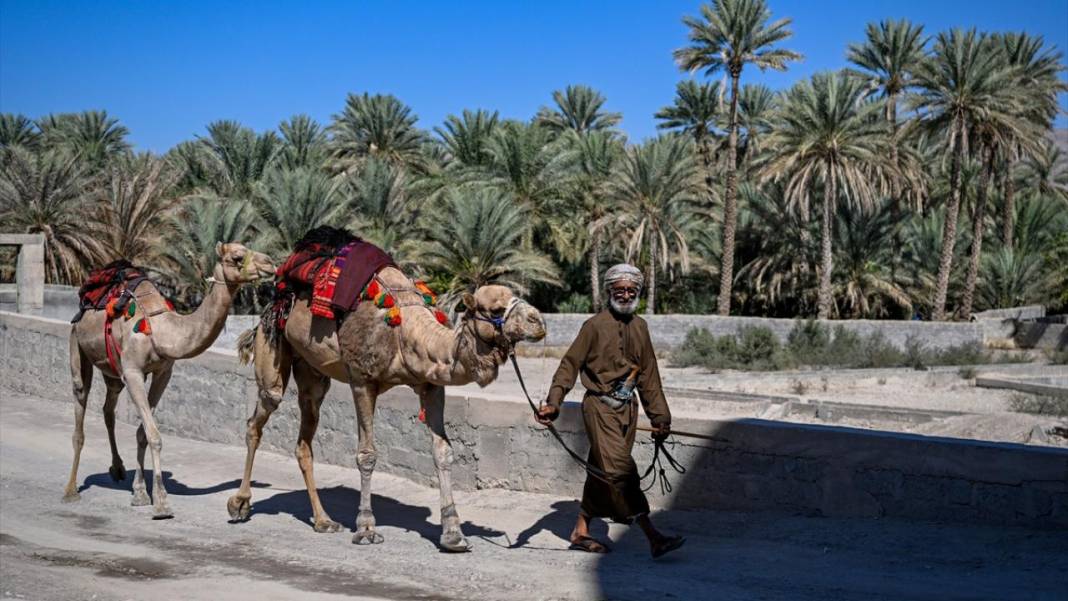 Umman Sultanlığı'ndan kareler 15