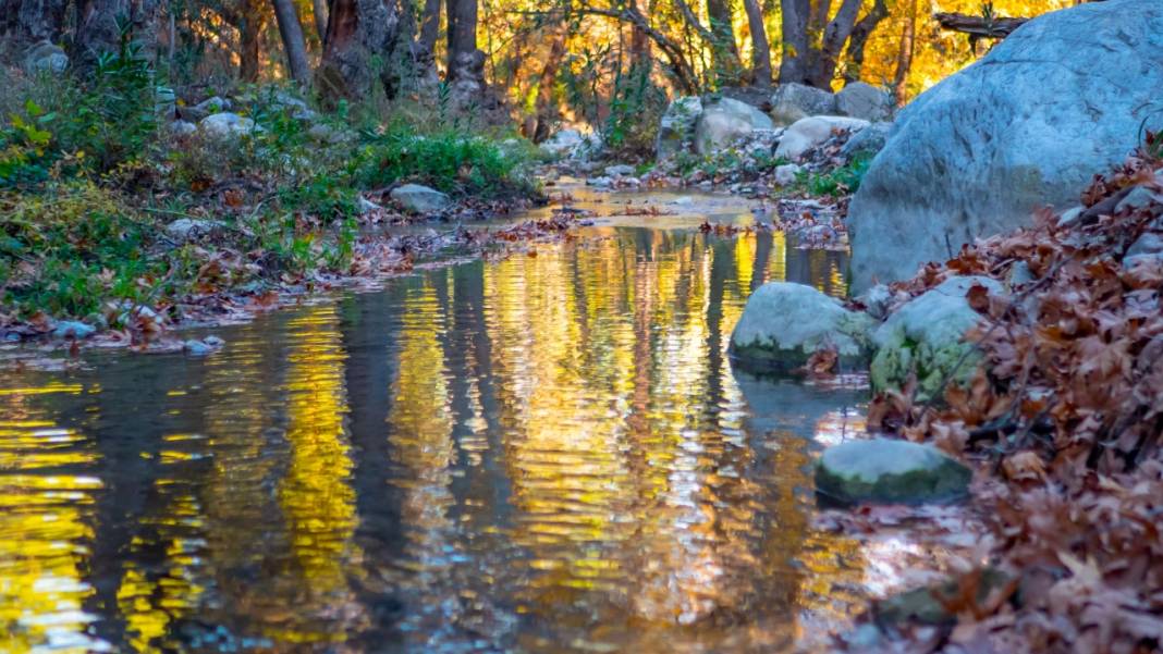 Sonbahar renkleri Beydağları'ndaki dere yataklarında farklı güzel 1
