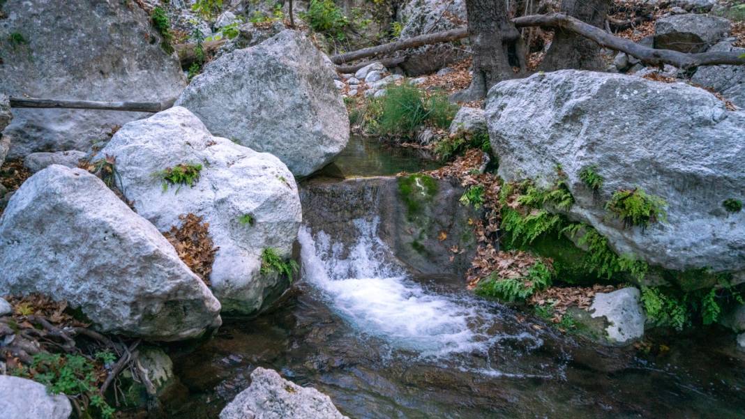 Sonbahar renkleri Beydağları'ndaki dere yataklarında farklı güzel 10