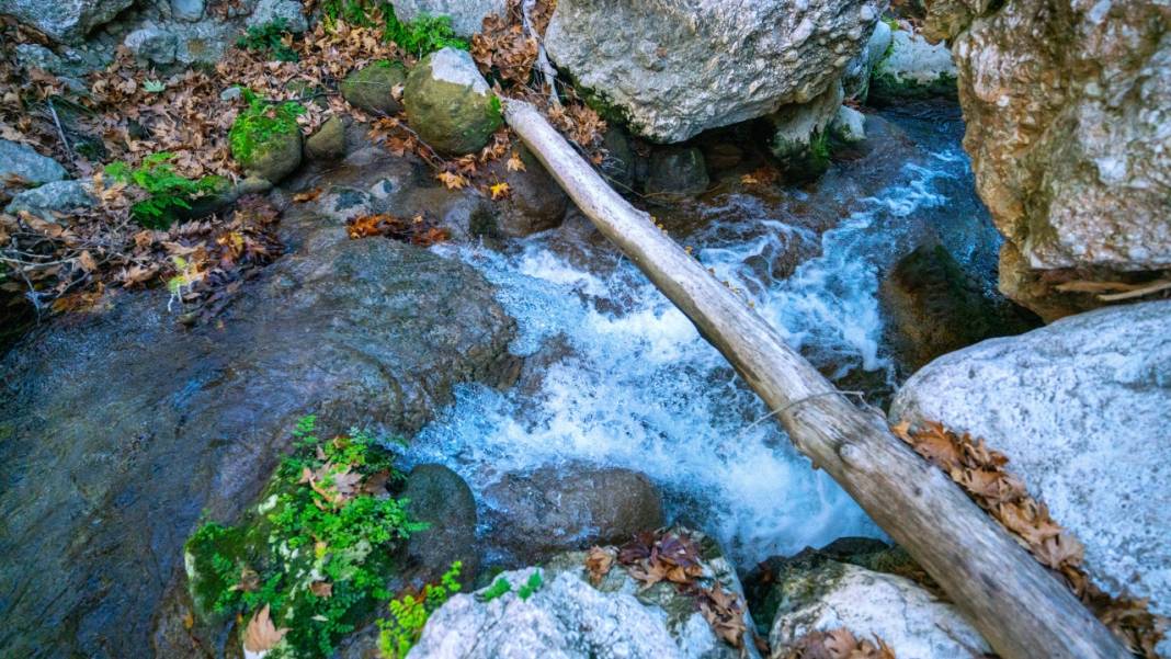 Sonbahar renkleri Beydağları'ndaki dere yataklarında farklı güzel 11