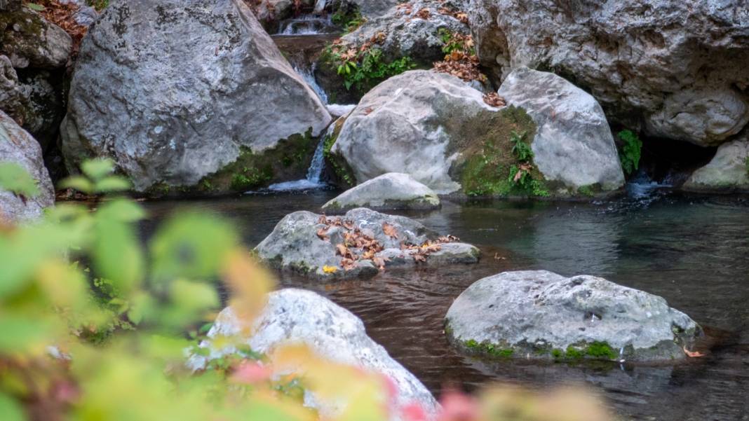 Sonbahar renkleri Beydağları'ndaki dere yataklarında farklı güzel 2