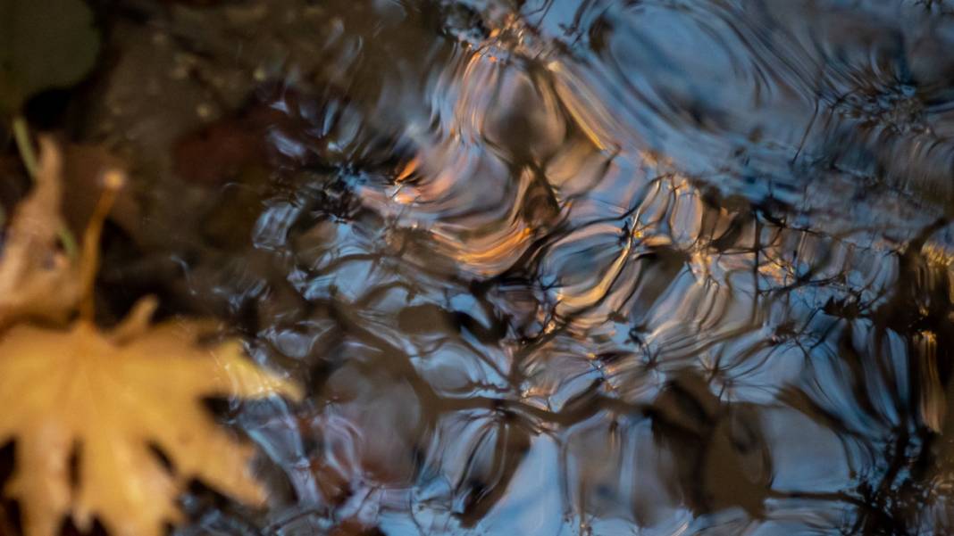 Sonbahar renkleri Beydağları'ndaki dere yataklarında farklı güzel 4