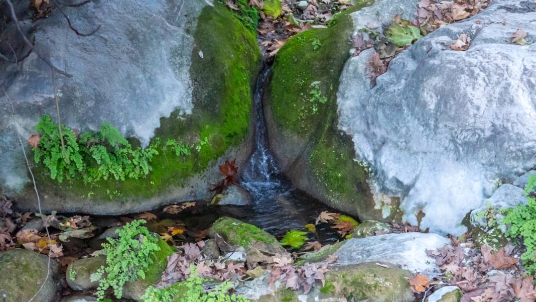 Sonbahar renkleri Beydağları'ndaki dere yataklarında farklı güzel 5