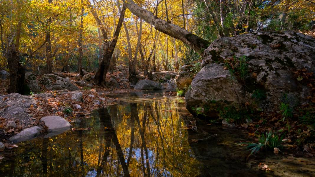 Sonbahar renkleri Beydağları'ndaki dere yataklarında farklı güzel 6