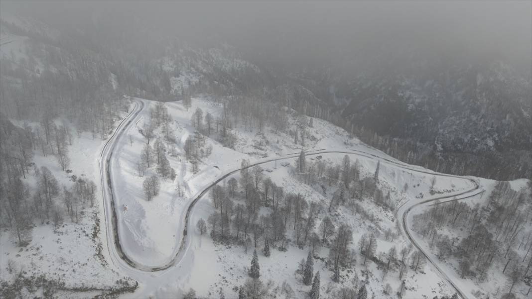 Deresökü Orman Parkı ve beyaz rahmet kar 10