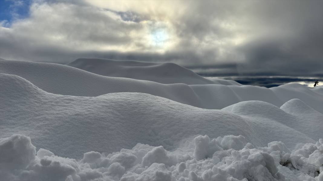 Deresökü Orman Parkı ve beyaz rahmet kar 12