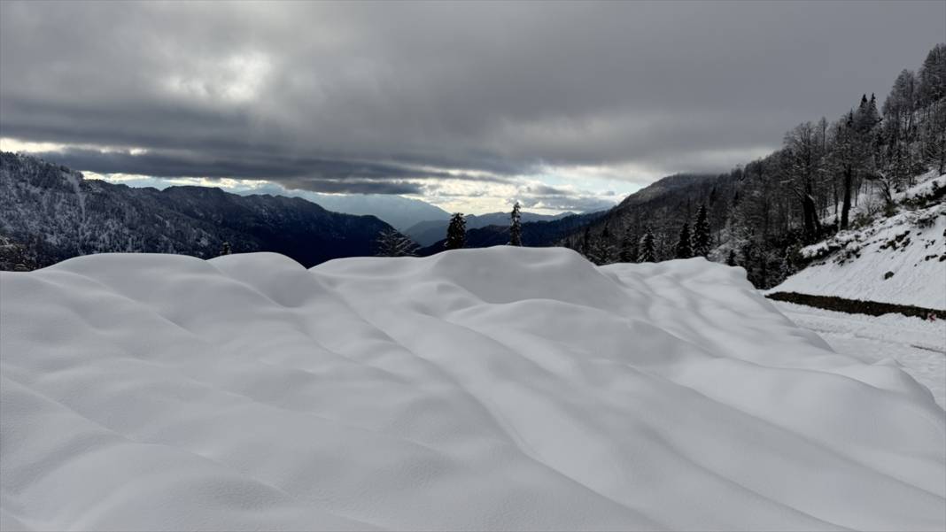 Deresökü Orman Parkı ve beyaz rahmet kar 13