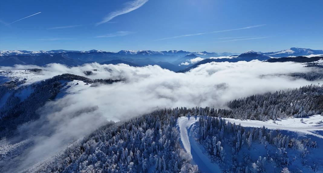 Deresökü Orman Parkı ve beyaz rahmet kar 14