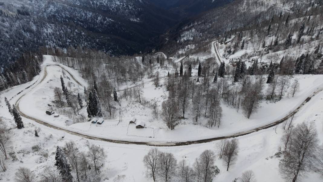 Deresökü Orman Parkı ve beyaz rahmet kar 15
