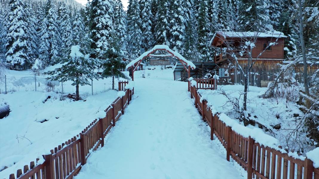 Deresökü Orman Parkı ve beyaz rahmet kar 5