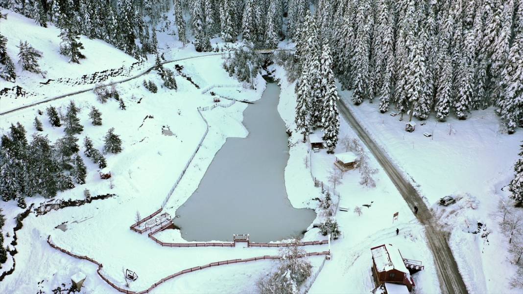 Deresökü Orman Parkı ve beyaz rahmet kar 6