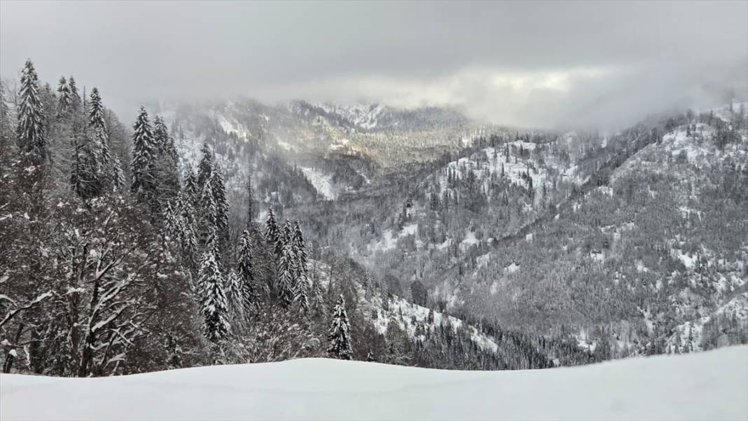 Deresökü Orman Parkı ve beyaz rahmet kar 9