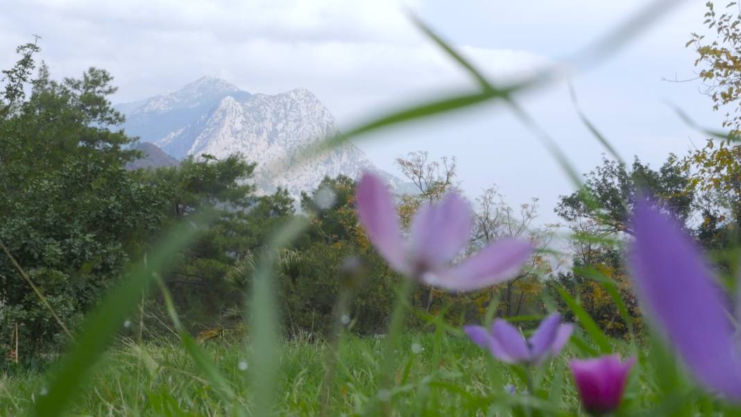 Dünyanın en güzel yürüyüş rotalarından biri: Likya yolu 2