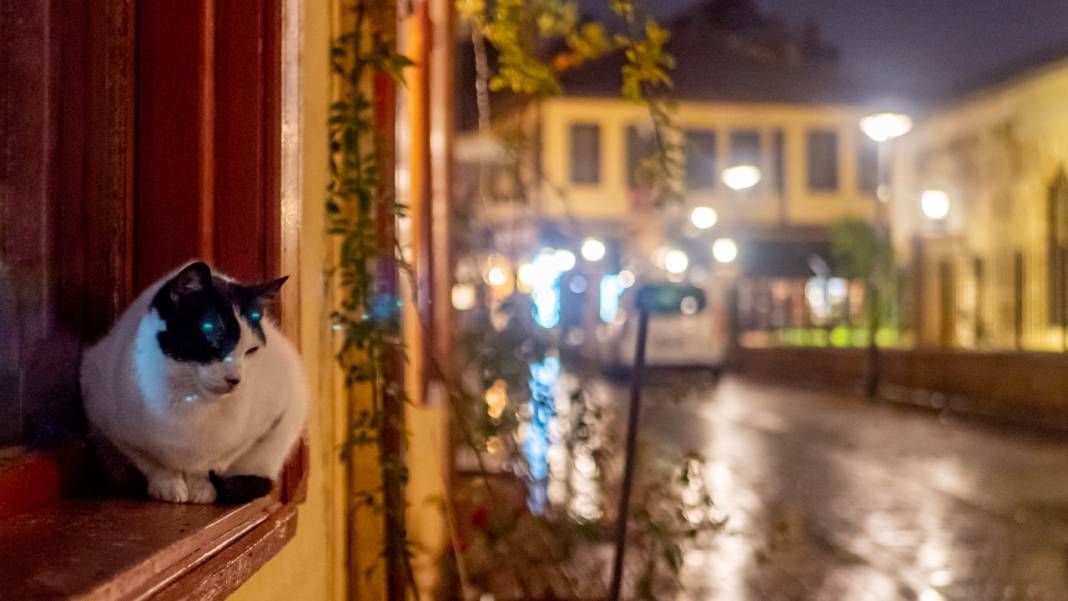 Antakya Kaleiçi'nde yağmur huzuru 1