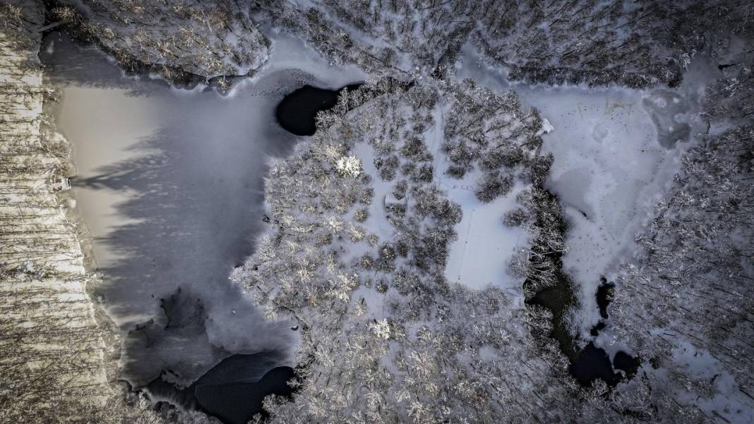Yedigöller Milli Parkı beyaza büründü 11