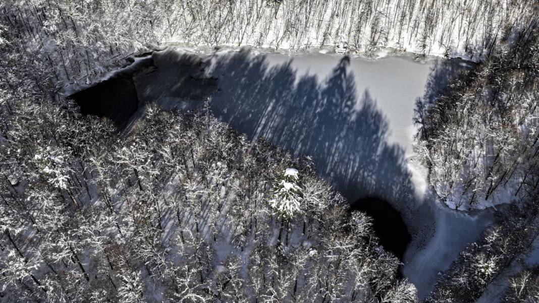 Yedigöller Milli Parkı beyaza büründü 12