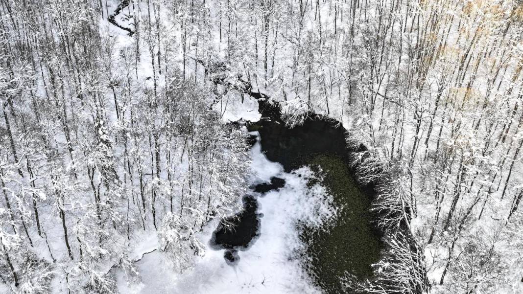 Yedigöller Milli Parkı beyaza büründü 13