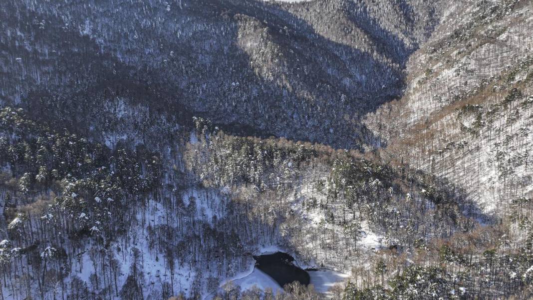 Yedigöller Milli Parkı beyaza büründü 15