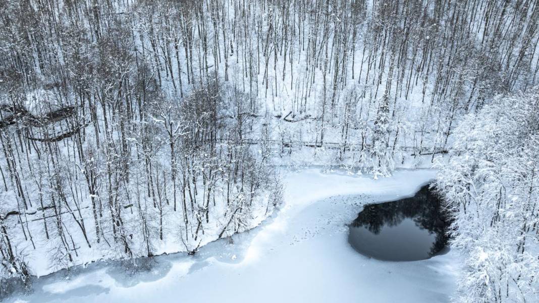 Yedigöller Milli Parkı beyaza büründü 16