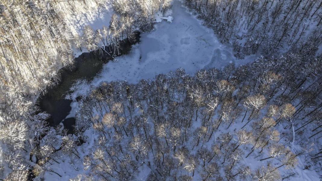 Yedigöller Milli Parkı beyaza büründü 17