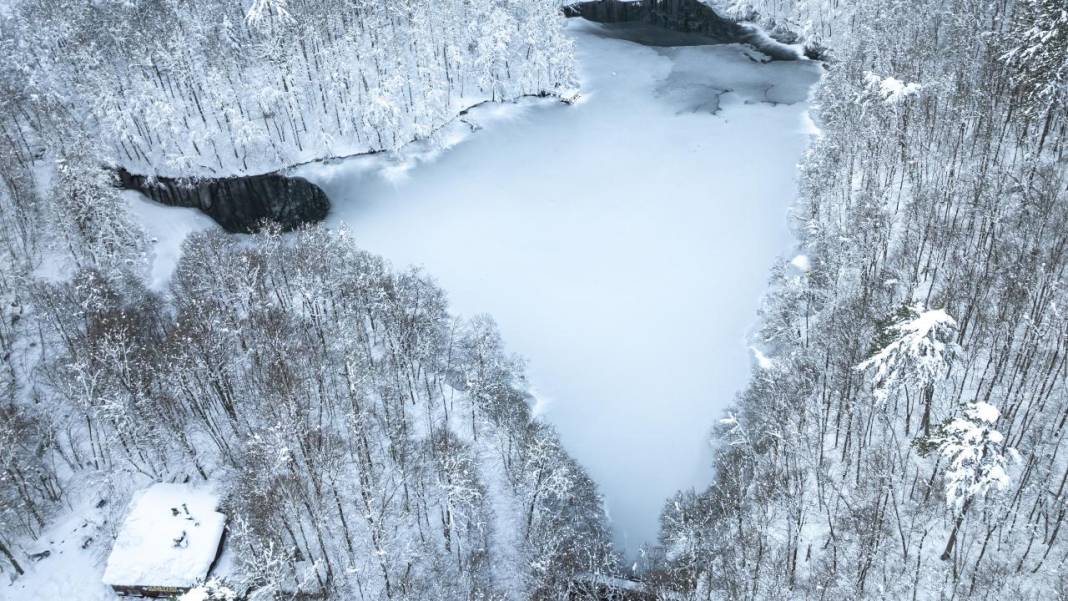 Yedigöller Milli Parkı beyaza büründü 2
