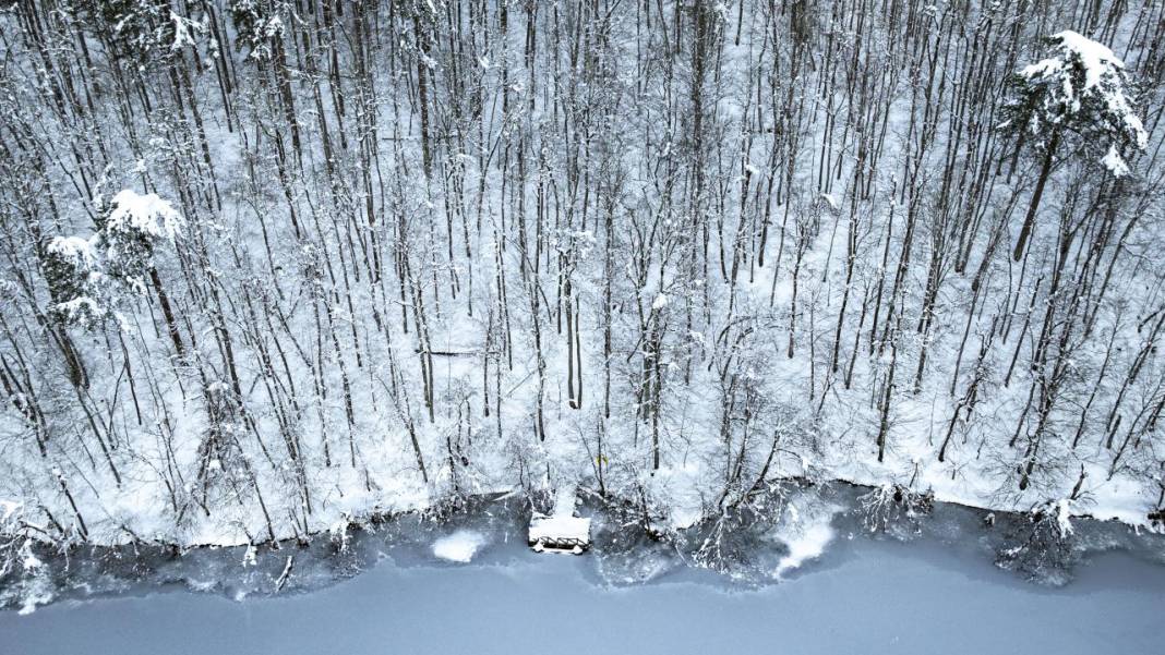Yedigöller Milli Parkı beyaza büründü 3