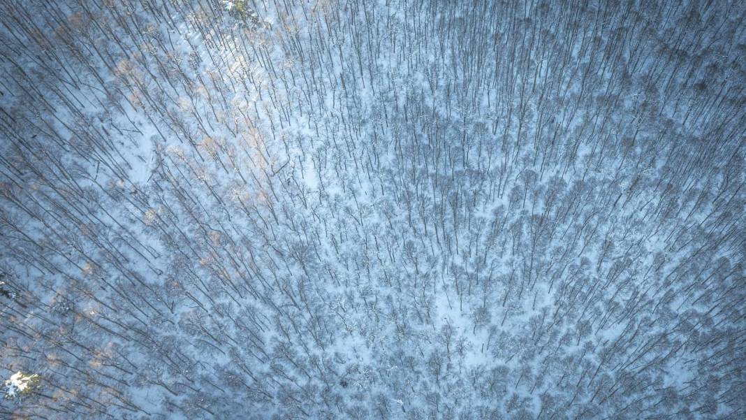 Yedigöller Milli Parkı beyaza büründü 5